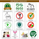 GoAyur Neem – Tulsi Complete Body Pack