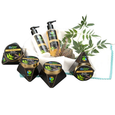 GoAyur Neem – Tulsi Complete Body Pack