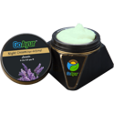 GoAyur Lavender Complete Body Pack