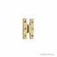 "H" Style Brass Hinges