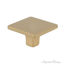 Small Matte Brass square knob