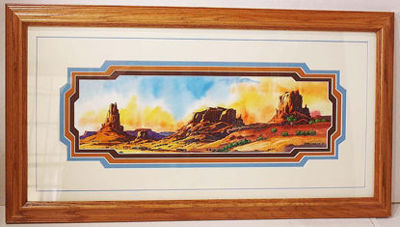 NAVAJO FRONT DOOR VISTA