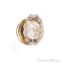Netropol Savannah Fluted Crystal Door Knob with Rosette - Polished Brass