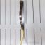 Antique Brass Koin Lizard Door Handle