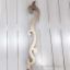 Antique Brass Taco Gazel Door Handle